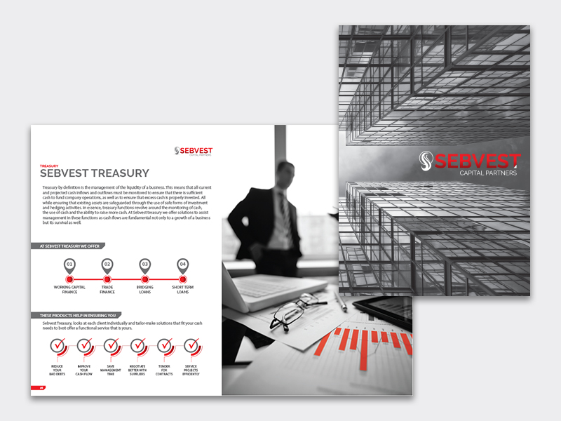 Sebvest Capital Partners Company Profile